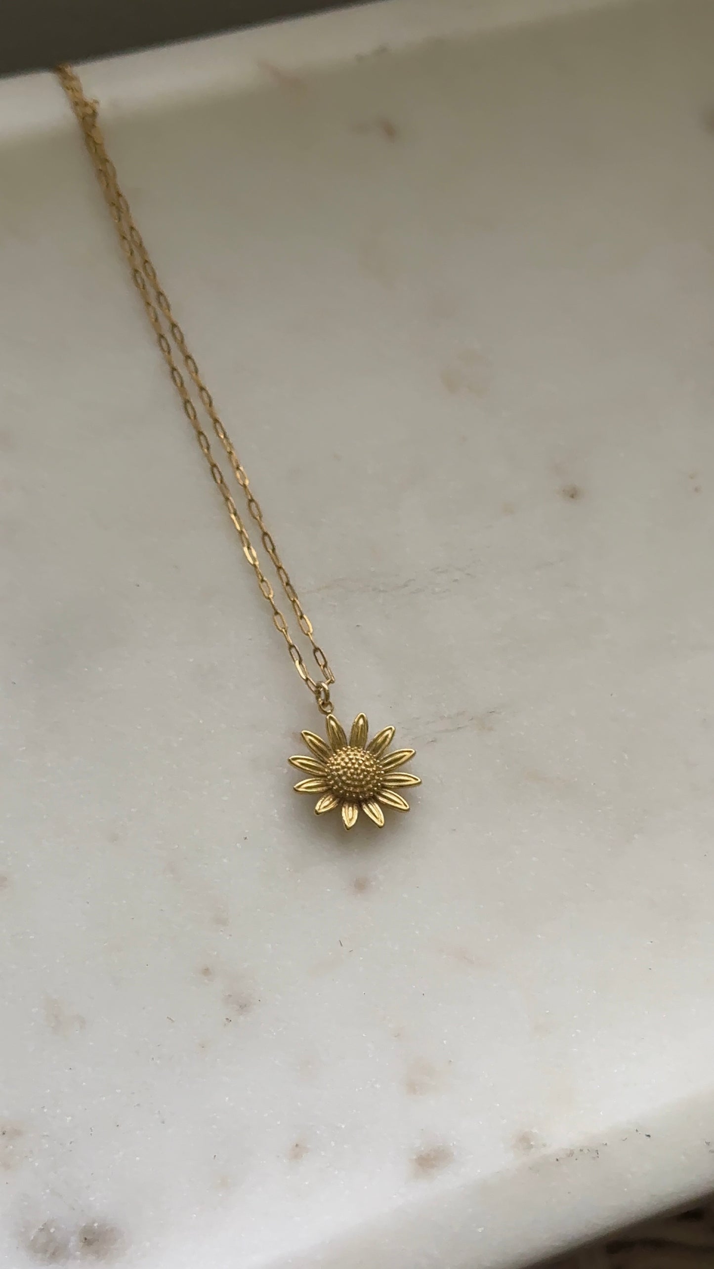 Girasol